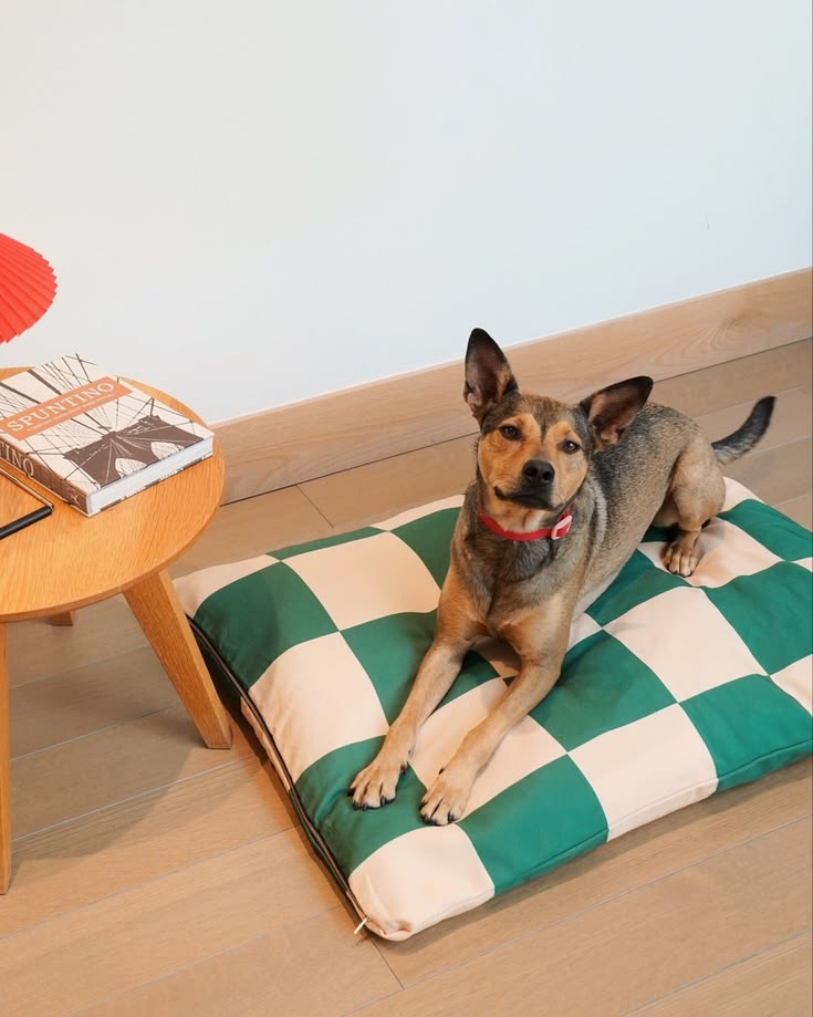 Pet rest and sleep essentials