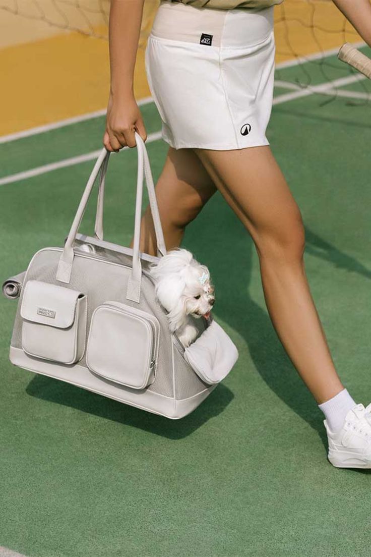 Pet travel essentials